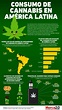 INFOGRAFÍA: Así se maneja el negocio de cannabis en América Latina