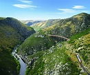 (達尼丁, 紐西蘭)泰伊里峡谷观光火车 - 旅遊景點評論 - Tripadvisor