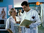 Amazon.de: Frauenarzt Dr. Markus Merthin, Staffel 4 ansehen | Prime Video