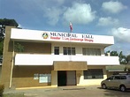File:Municipal hall of surabay R.T lim sibugay zamboanga del norte.jpg ...