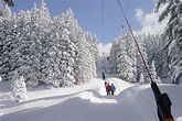 Skigebiet Balderschwang/Schelpen/Riedberger Horn | skipass24