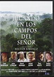 Jugando en los campos del señor [DVD]: Amazon.es: Tom Berenger, John ...