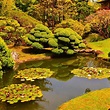 Japanese Tea Garden (San Francisco) - All You Need to Know BEFORE You Go