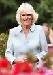 Camilla Parker-Bowles Royal Fashion: Best Outfits and Dresses