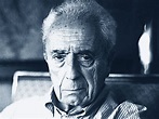 Biografia di Michelangelo Antonioni