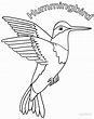 Hummingbird Coloring Page - Team Coloring