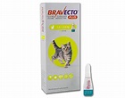BRAVECTO® PLUS - MSD Salud Animal México