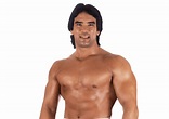 Ricky Steamboat: Profile, Career Stats, Face/Heel Turns, Titles Won ...