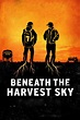 Beneath the Harvest Sky (film, 2013) | Kritikák, videók, szereplők ...
