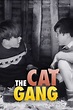 ‎The Cat Gang (1959) directed by Darrell Catling • Reviews, film + cast ...