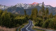 Road Between Trees Covered Forest With Landscape Of Mountain HD Nature ...