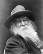 Walt Whitman: Translating Nature Literary Ramblings Literary Ramblings