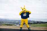 Our Mascot: Sammy the Banana Slug – UC Santa Cruz