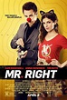 Mr. Right (2015) - Película eCartelera