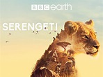 Watch Serengeti, Season 1 | Prime Video