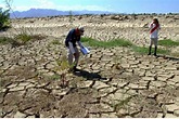 Sequías, dengue y pérdida de glaciares: principales impactos del ...