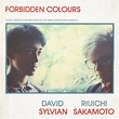 David Sylvian, Ryuichi Sakamoto - Forbidden Colours – Invisible City ...