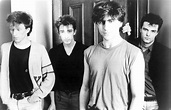 The Chameleons | Spotify