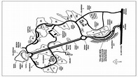 Map of TAHOMA NATIONAL CEMETERY | National cemetery, Cemetery, Map