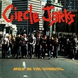 WhyDoThingsHaveToChange: CIRCLE JERKS - Wild In The Streets 1982