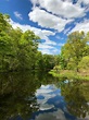 Great Swamp Wildlife Refuge, New Jersey [OC] [2448x3264] : r/EarthPorn