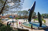 Skip the Line: Birch Aquarium at Scripps Admission Ticket 2023 - La Jolla