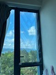 透明窗花 - 皇室窗簾蚊網有限公司