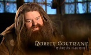 Image - Robbie Coltrane (Rubeus Hagrid) HP6 screenshot.JPG - Harry ...