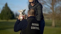 Animal Control – NZ Institute of Animal Management