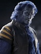 Beast (X-Men Movies) | Heroes Wiki | Fandom