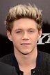 Pin by eimear doherty on Niall Horan | Niall horan, Niall horan height ...