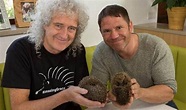 Brian May hedgehogs: Why Queen guitarist runs animal rescue from his ...