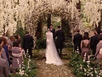 Twilight Wedding Theme Traditional - everything to know about the ...