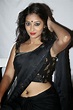 Actress Bhanu Hot Photos In Black Saree - HD Latest Tamil Actress ...