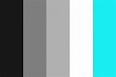 black white and grey Color Palette