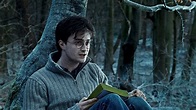 Harry Potter et les reliques de la mort (partie 1) : critique qui erre