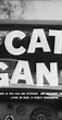 The Cat Gang (1959) - IMDb