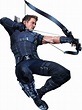 Hawkeye PNG Image | PNG All