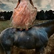 Tom Chambers | Photographer | All About Photo
