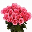 Globalrose 100 Pink Roses Fresh Flower Delivery-pink-roses-assorted-100 ...