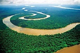 被譽為「世界動植物王國」——亞馬遜熱帶雨林 - 每日頭條