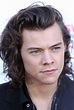File:Harry Styles November 2014.jpg - Wikimedia Commons