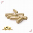 Jing Tang Wei Qi Booster 0.5g Capsules #200 - TCVM Pet Supply