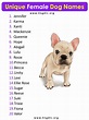 20 Unique Female Dog Names (With Cool Meanings) – EngDic