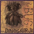 Dinosaur Jr. – Bug (1988, CD) - Discogs