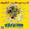 Digital Underground - The Body-Hat Syndrome - Reviews - Album of The Year