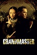 The Grandmaster (2013) - Posters — The Movie Database (TMDB)