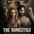 The Domestics: Kate Bosworth and Tyler Hoechlin are on the run in clip ...