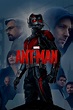 Ant-Man (2015) - Posters — The Movie Database (TMDb)
