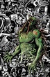The Swamp Thing #16 (Brian Bolland Card Stock Cover) | Fresh Comics